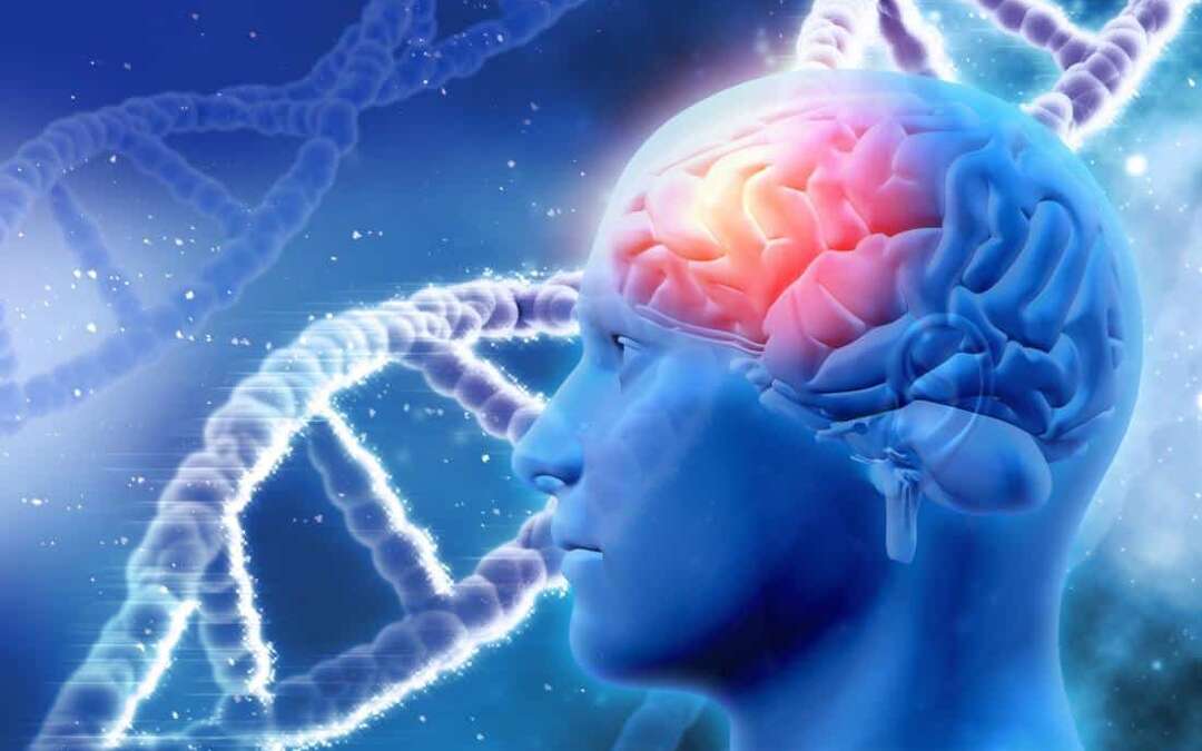 Alzheimer’s: Targeting ApoE gene may ‘stop the disease’