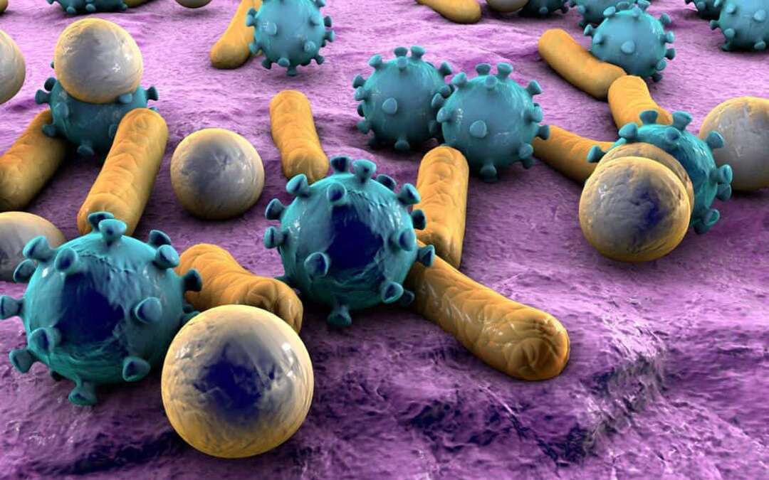 Household microbes: Friend or foe?