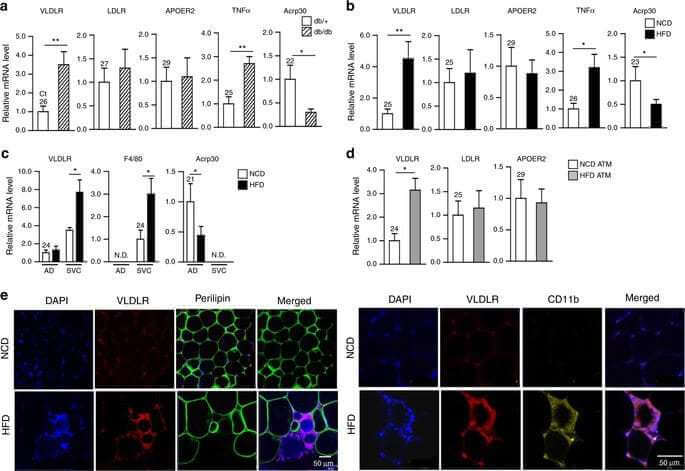 Macrophage VLDLR mediates obesity-induced insulin resistance with adipose tissue inflammation