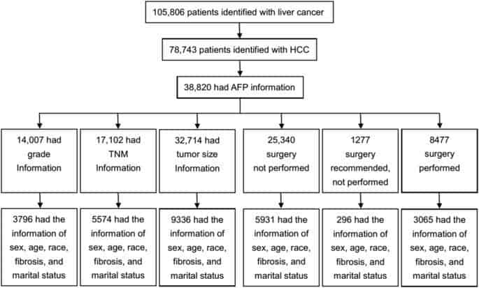 The prognostic correlation of AFP level at diagnosis with pathological grade, progression, and survival of patients with hepatocellular carcinoma