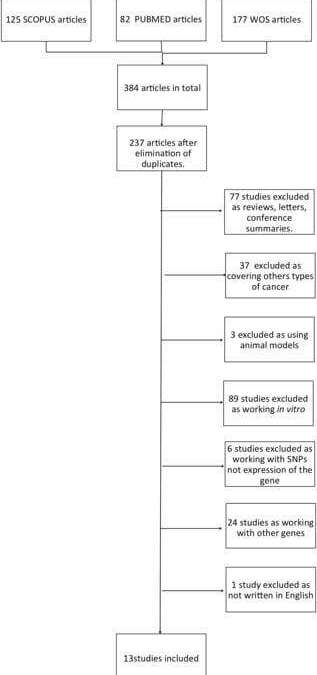 The role of EZH2 in overall survival of colorectal cancer: a meta-analysis