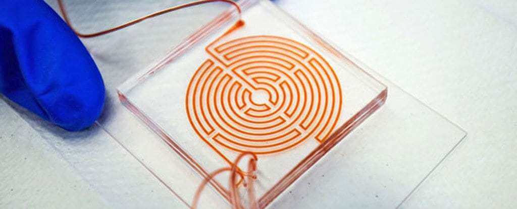 This Awesome Blood Labyrinth Is The Newest Method For Catching Cancer Cells