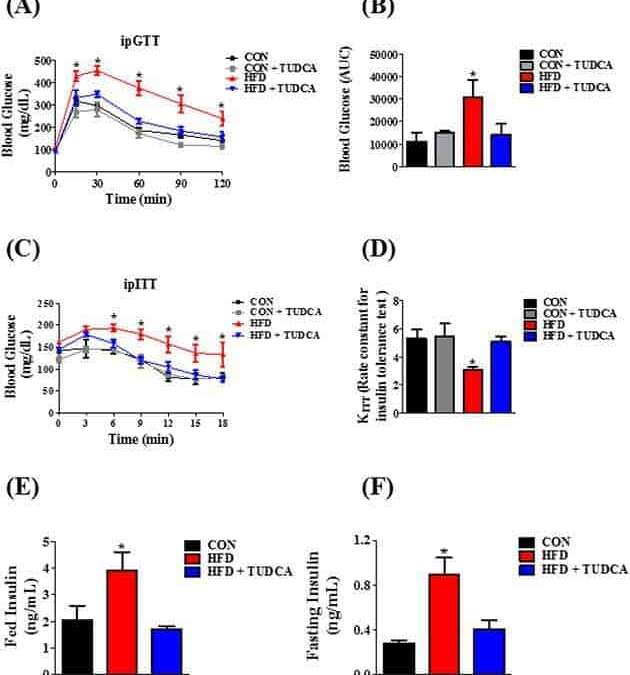 Bile acid TUDCA improves insulin clearance by increasing the expression of insulin-degrading enzyme in the liver of obese mice